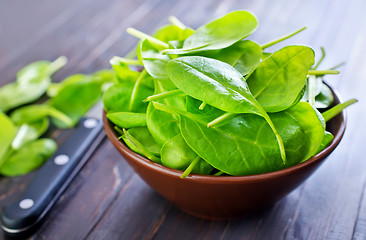 Image showing fresh spinach