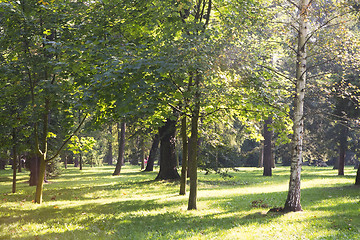 Image showing Sunny path in park