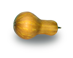 Image showing courgette