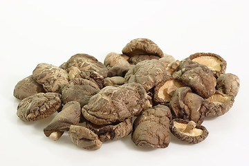 Image showing Asia Shiitake