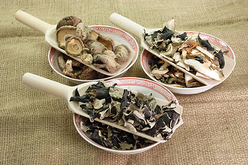 Image showing Chinese Mushrooms