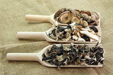 Image showing Dried asia Mushrooms