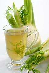 Image showing Fennel Tea