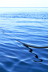 Image showing thailand  water  kho tao bay abstract    south  sea