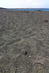Image showing white coast lanzarote  in     beach  stone water  and summer 