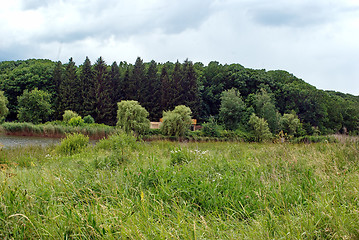 Image showing summer nature