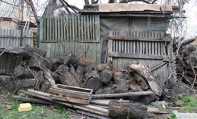 Image showing trimming the tree