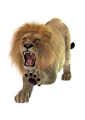 Image showing Lion