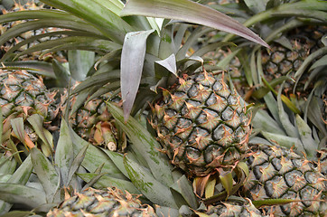 Image showing Photography of pineapple in the market for sell