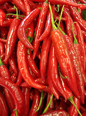 Image showing Chili pepper 