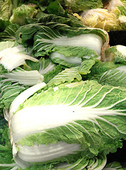 Image showing White cabbage