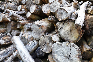 Image showing Dry chopped firewood logs stacked up in a pile