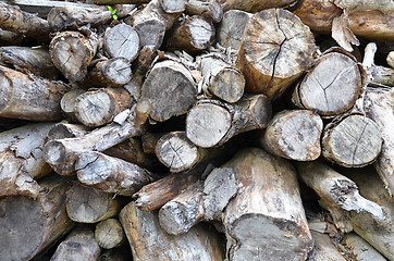 Image showing Dry chopped firewood logs stacked up in a pile