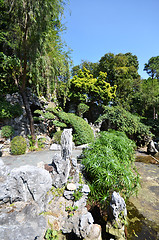 Image showing Walk way in the garden