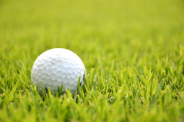 Image showing Dirty golf ball on the grass 