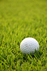 Image showing Dirty golf ball on the grass