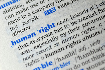 Image showing Human right word on book