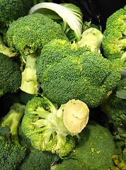 Image showing Broccoli is an edible green plant in the cabbage family