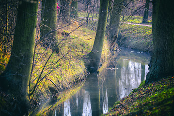 Image showing Winding creek