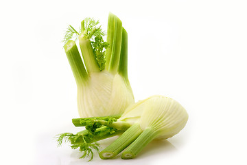 Image showing Vegetable Fennel