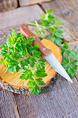 Image showing fresh parsley