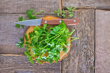 Image showing fresh parsley