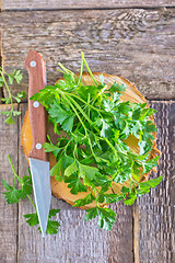 Image showing fresh parsley