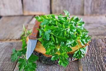 Image showing fresh parsley