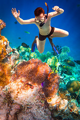 Image showing Snorkeler Maldives Indian Ocean coral reef.