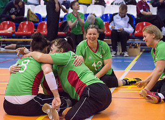 Image showing Hungary team rejoice of point