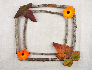 Image showing Wooden frame with calendula