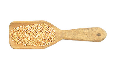 Image showing Mustard seeds on shovel