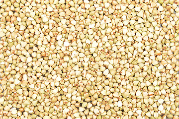 Image showing Buckwheat background