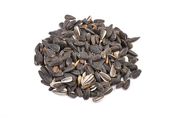 Image showing Bird seed