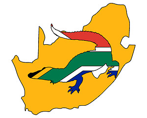 Image showing Crocodile South Africa