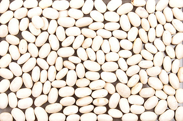 Image showing White beans