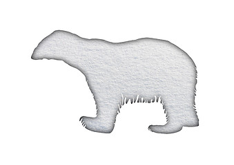 Image showing Polar bear in snow