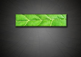 Image showing strip from green leaf on gradient dark background