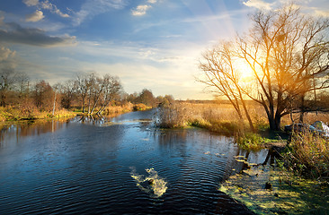 Image showing Wonderful autumn