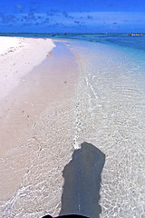 Image showing beach ile du cerfs seaweed in indian ocean boat