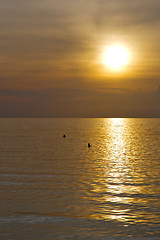 Image showing   phangan sunrise  and water in thailand  