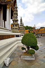 Image showing bonsai    temple   in   bangkok  thailand incision of the temple