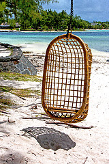 Image showing lagoon  beach seaweed in  mauritius indian 