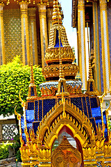 Image showing  pavement gold    temple   in   bangkok  plant