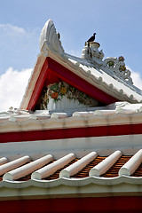 Image showing asia  thailand  in  bangkok sunny  temple abstract bird