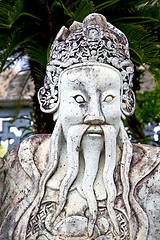Image showing beard  in the temple bangkok asia   tree
