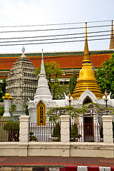 Image showing  pavement gold    temple   in   bangkok  tree