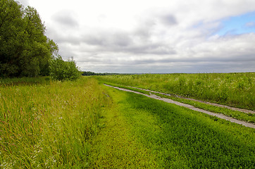 Image showing Dirt road along the green meadows and forests