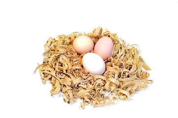 Image showing Chicken eggs in a nest of wood shavings