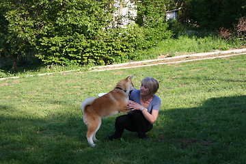 Image showing Akita Inu puppy